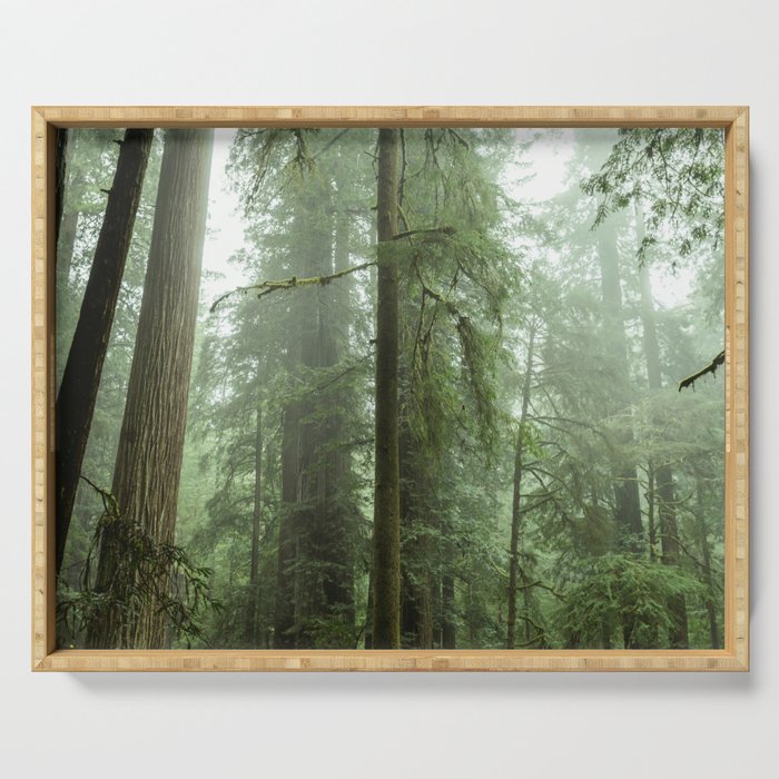 Redwood National Park - Misty Mountain Forest Adventure Serving Tray Gallery Image 1