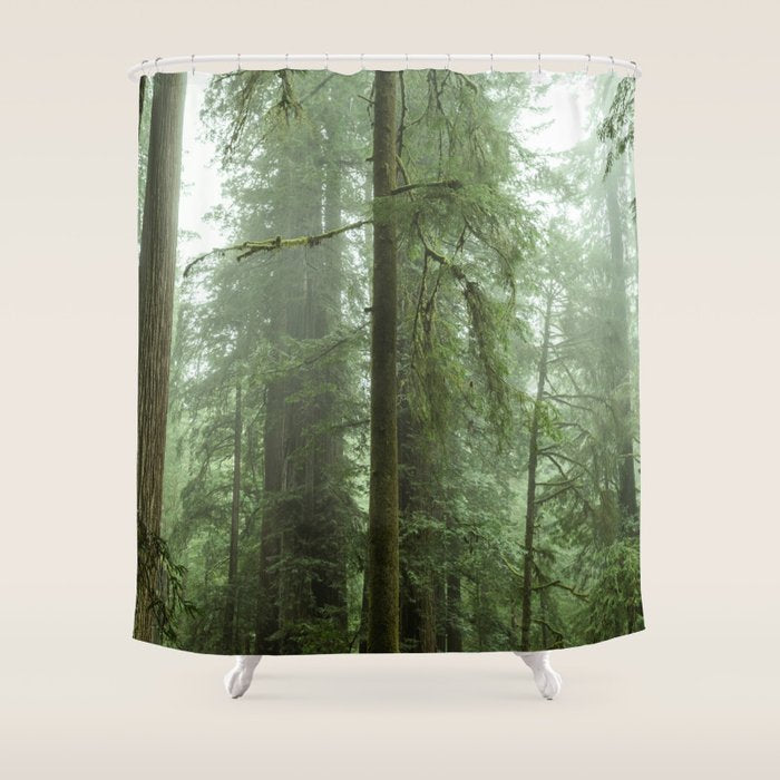 Redwood National Park - Misty Mountain Forest Adventure Shower Curtain Gallery Image 1