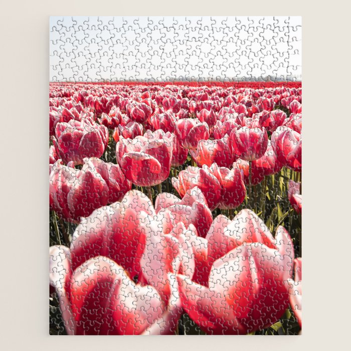 Tulip Field In Holland Floral Photo | Europe Travel Photography Red Flowers Spring Art Print Jigsaw Puzzle Gallery Image 1