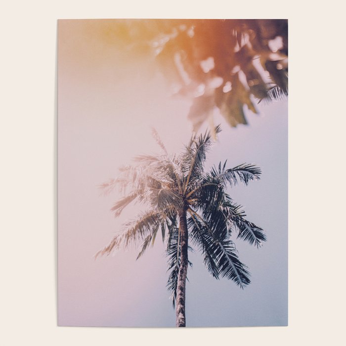 a palm tree ix Poster Gallery Image 4