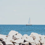 Chesapeake Sail Coffee Mug Gallery Image 2