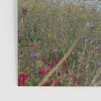 Dreamy Sicilian Sunset - Beautiful Scopello Photo Art Print - Italy Travel Photography - Photograph Poster Gallery Image 3