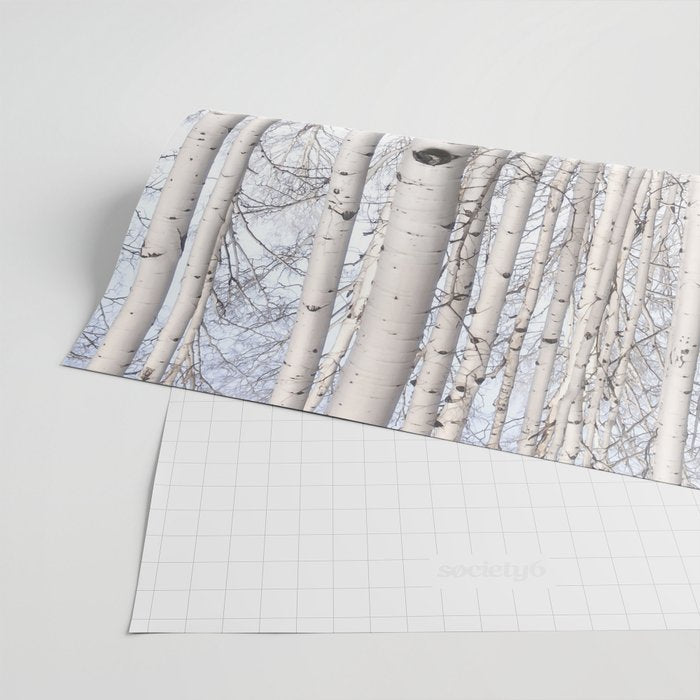 Trees of Reason - Birch Forest Wrapping Paper Gallery Image 2