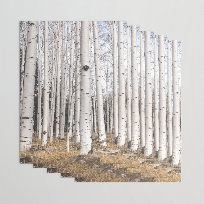 Trees of Reason - Birch Forest Wrapping Paper Gallery Image 3