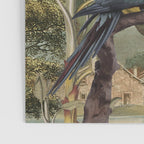 Parrot Garden Poster Gallery Image 3