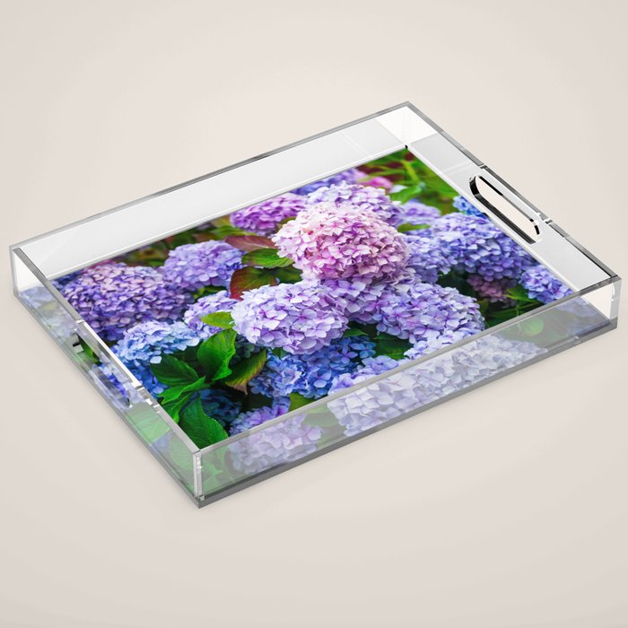 Purple Hydrangeas Blooming Acrylic Tray Gallery Image 1