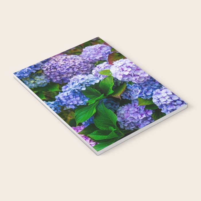 Purple Hydrangeas Blooming Notebook Gallery Image 3