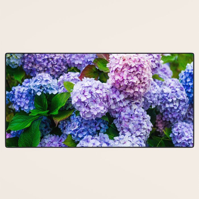 Purple Hydrangeas Blooming Desk Mat Gallery Image 3