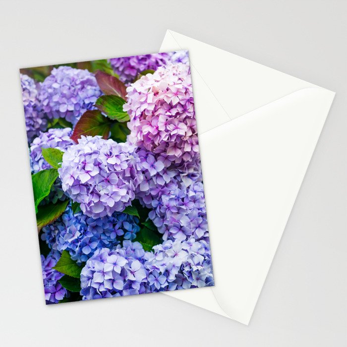 Purple Hydrangeas Blooming Stationery Card Gallery Image 2