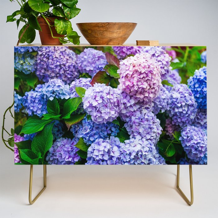 Purple Hydrangeas Blooming Credenza Gallery Image 1