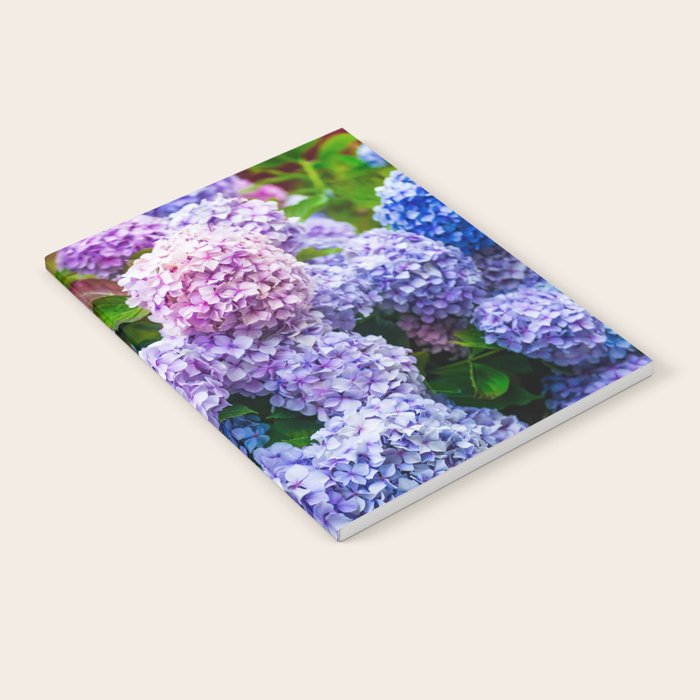 Purple Hydrangeas Blooming Notebook Gallery Image 2