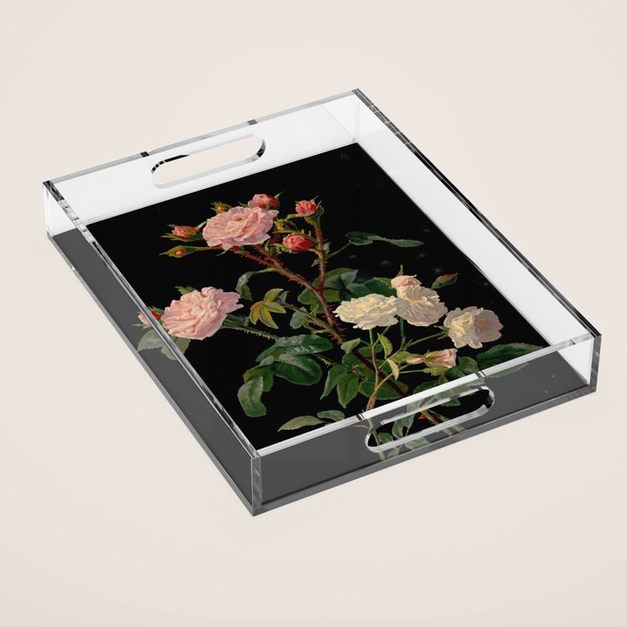 Vintage Botanical Illustration Beautiful Lush Roses Flowers Black Background Acrylic Tray Gallery Image 1