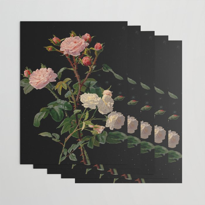 Vintage Botanical Illustration Beautiful Lush Roses Flowers Black Background Wrapping Paper Gallery Image 3