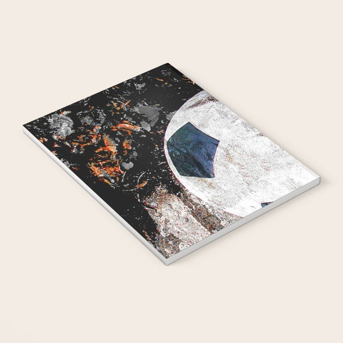 The soccer ball Notebook Gallery Image 3