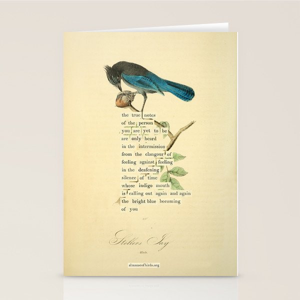 Stellers Jay Divination from # An Almanac of Birds # Divinations for Uncertain Days Stationery Card Gallery Image 2