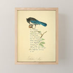 Stellers Jay Divination from # An Almanac of Birds # Divinations for Uncertain Days Mini Art Print Gallery Image 1