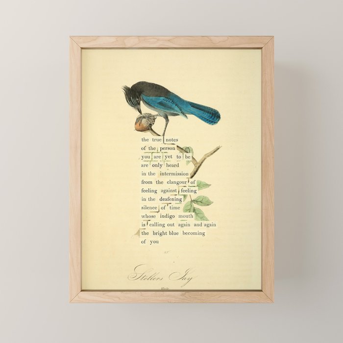 Stellers Jay Divination from # An Almanac of Birds # Divinations for Uncertain Days Mini Art Print Gallery Image 1