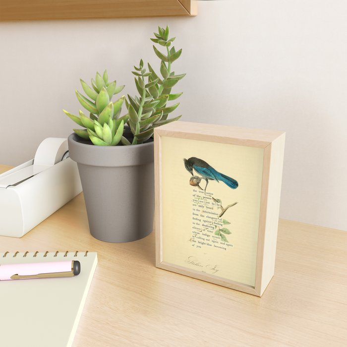Stellers Jay Divination from # An Almanac of Birds # Divinations for Uncertain Days Mini Art Print Gallery Image 2