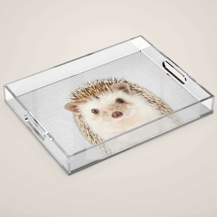Hedgehog - Colorful Acrylic Tray Gallery Image 1