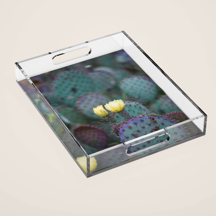Cactus Blooms Acrylic Tray Gallery Image 1