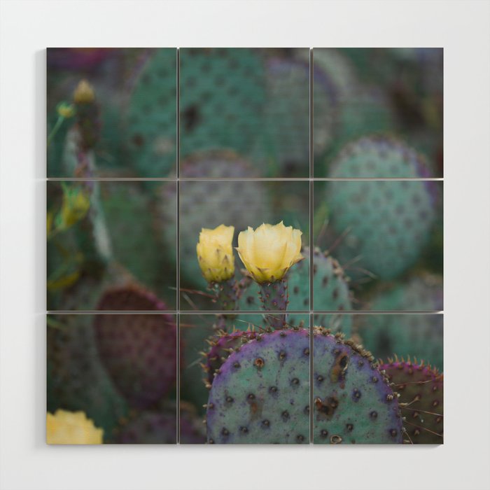 Cactus Blooms Wood Wall Art Gallery Image 1