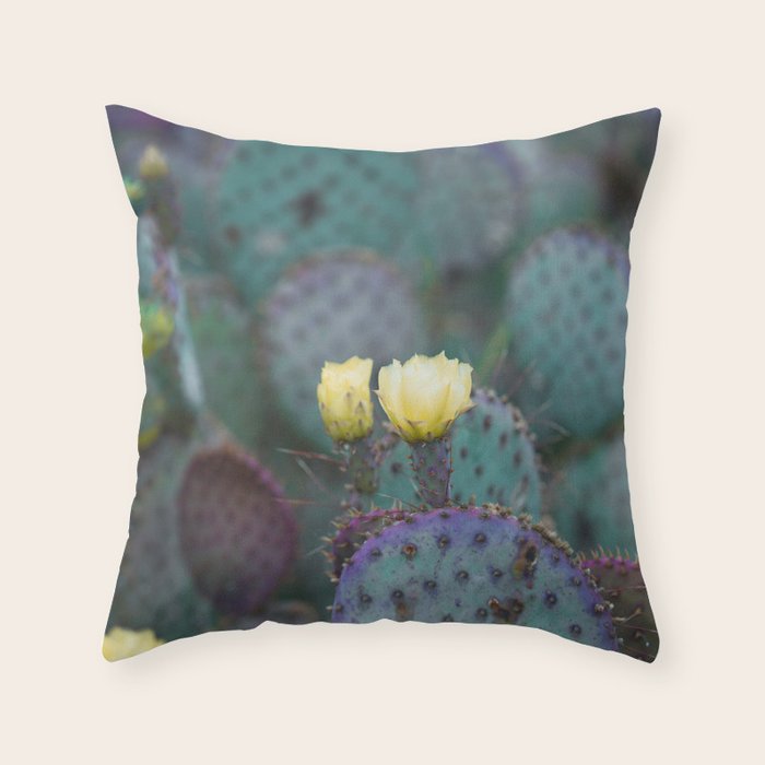 Cactus Blooms Throw Pillow Gallery Image 6