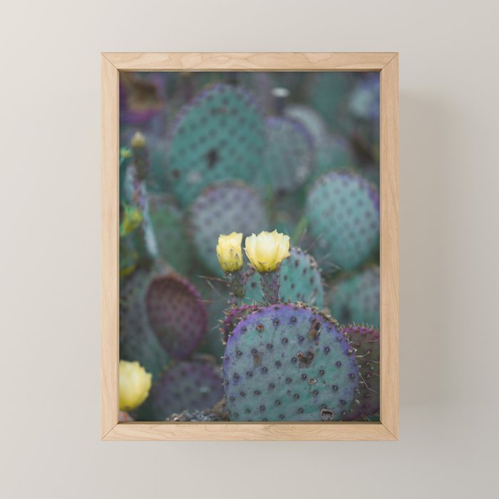 Cactus Blooms Mini Art Print Gallery Image 1