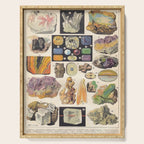 Adolphe Millot Minerals Larousse Vintage Scientific Encyclopedia Illustration Mineralogy Gemstones Serving Tray Gallery Image 1
