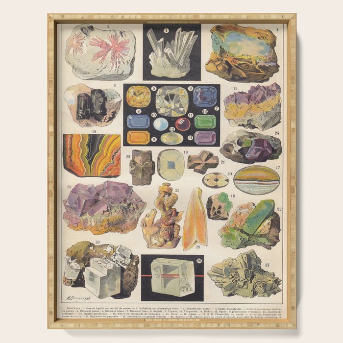 Adolphe Millot Minerals Larousse Vintage Scientific Encyclopedia Illustration Mineralogy Gemstones Serving Tray Gallery Image 1
