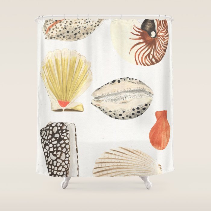 Shells Shower Curtain Gallery Image 1
