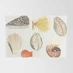 Shells Rug Gallery Image 2