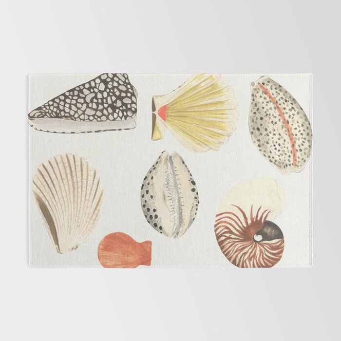 Shells Rug Gallery Image 2