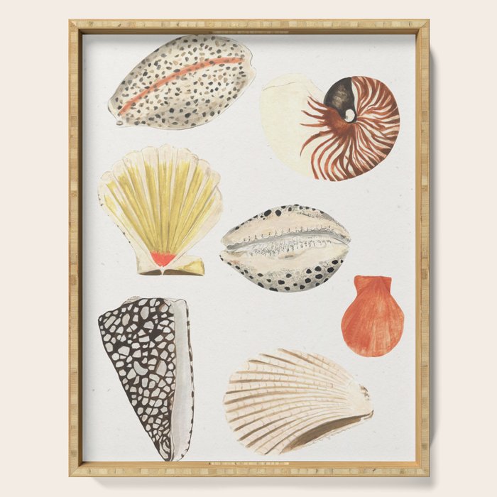 Shells Serving Tray Gallery Image 1