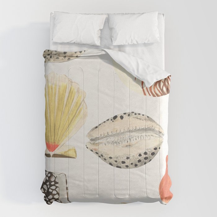 Shells Comforter Gallery Image 1