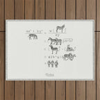 Alzebra Outdoor Rug Gallery Image 1