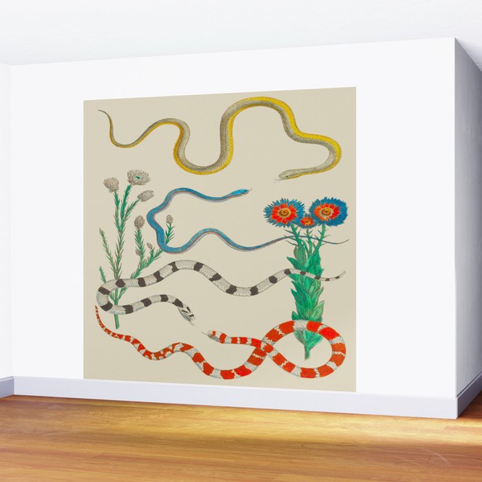 Locupletissimi rerum naturalium - vol. 2 - Albertus Seba Colorful Snake Floral Arrangement Wall Mural Gallery Image 2