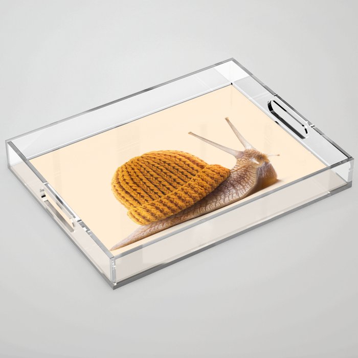 WINTER SNAIL Acrylic Tray Gallery Image 1