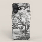 The Big Tree Rockport Texas iPhone Case Gallery Image 1