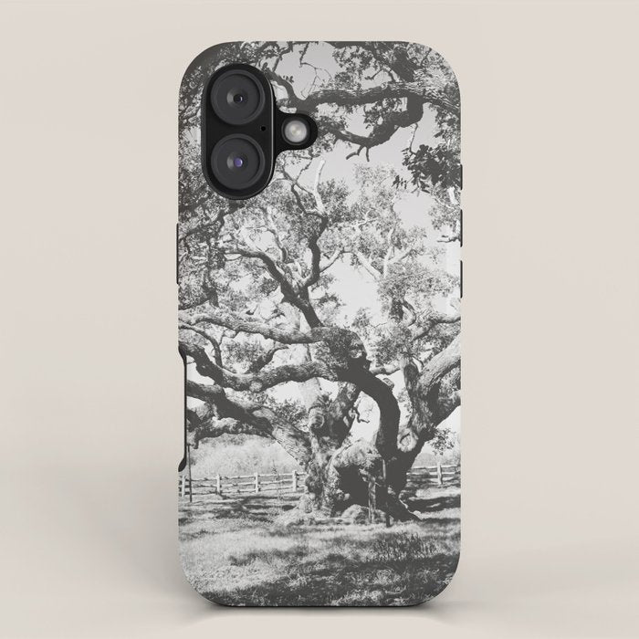 The Big Tree Rockport Texas iPhone Case Gallery Image 1