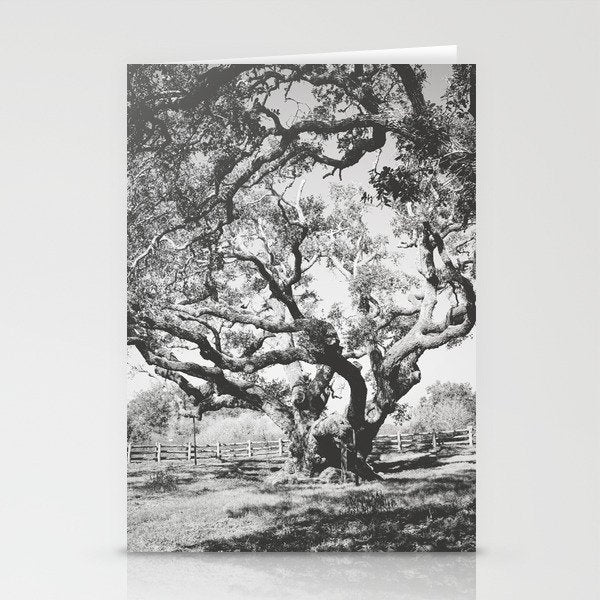 The Big Tree Rockport Texas Stationery Card Gallery Image 2