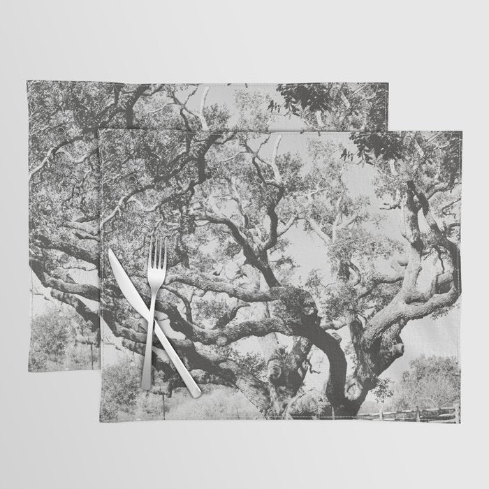 The Big Tree Rockport Texas Placemat Gallery Image 1