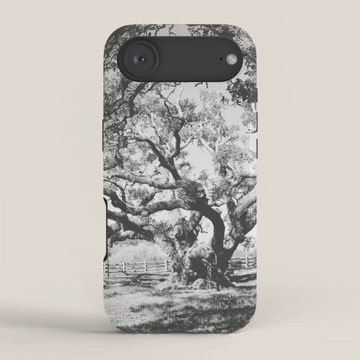 The Big Tree Rockport Texas iPhone Case Gallery Image 2