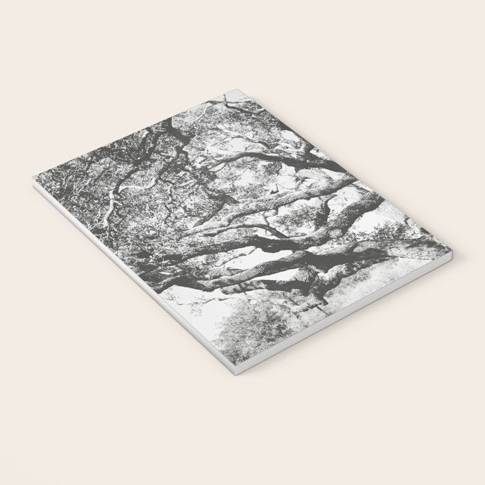 The Big Tree Rockport Texas Notebook Gallery Image 3