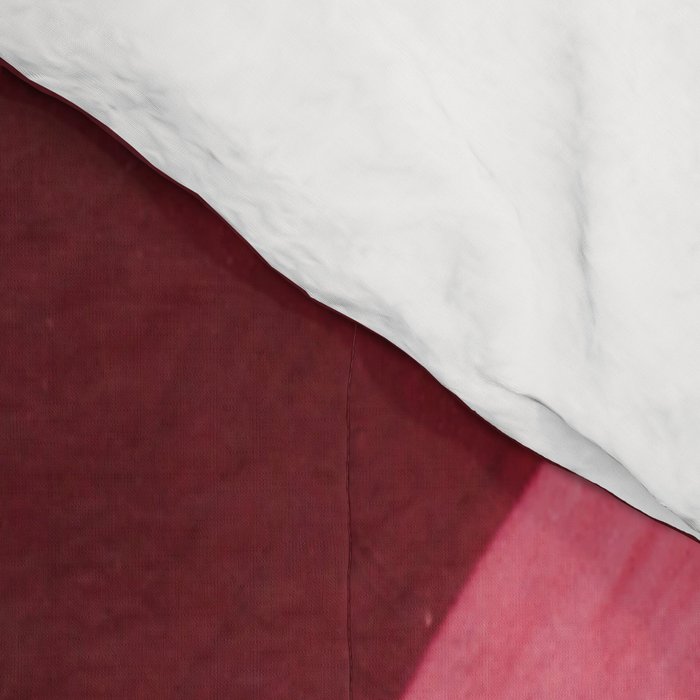 Area Broken by Perpendiculars Comforter Gallery Image 4