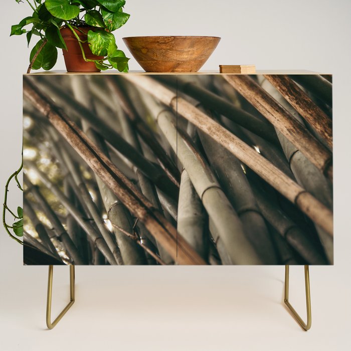 Bamboo Study 2 Credenza Gallery Image 1