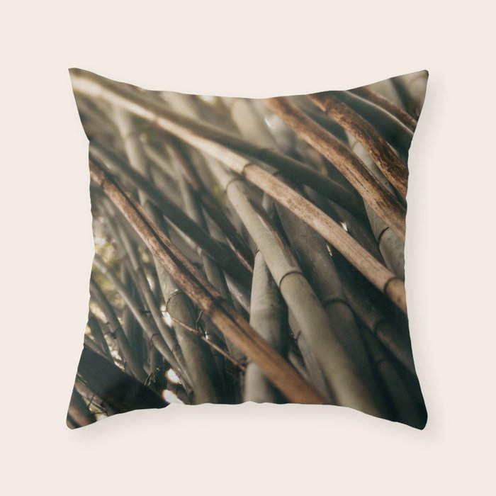 Bamboo Study 2 Throw Pillow Gallery Image 6