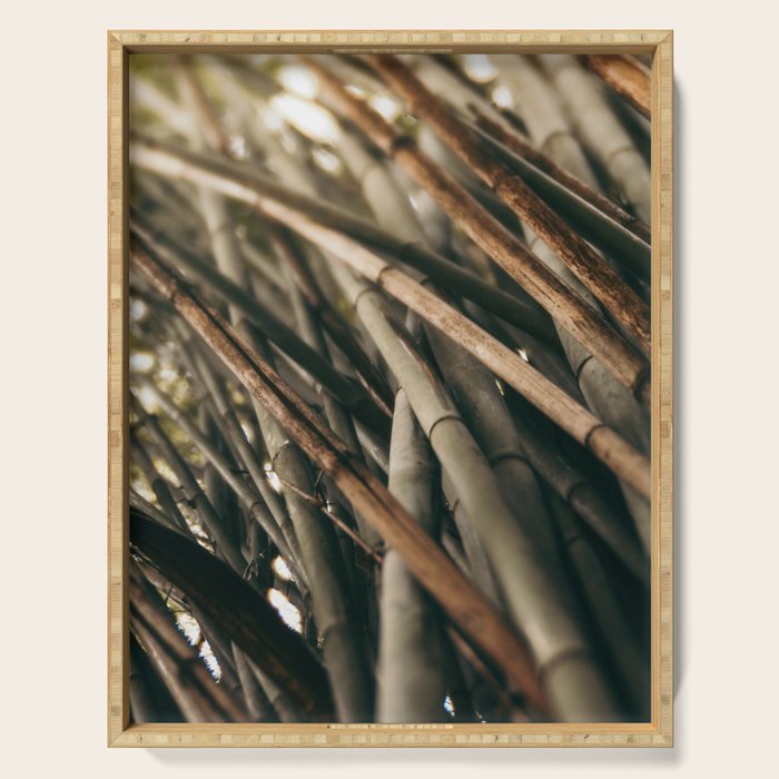 Bamboo Study 2 Serving Tray Gallery Image 1