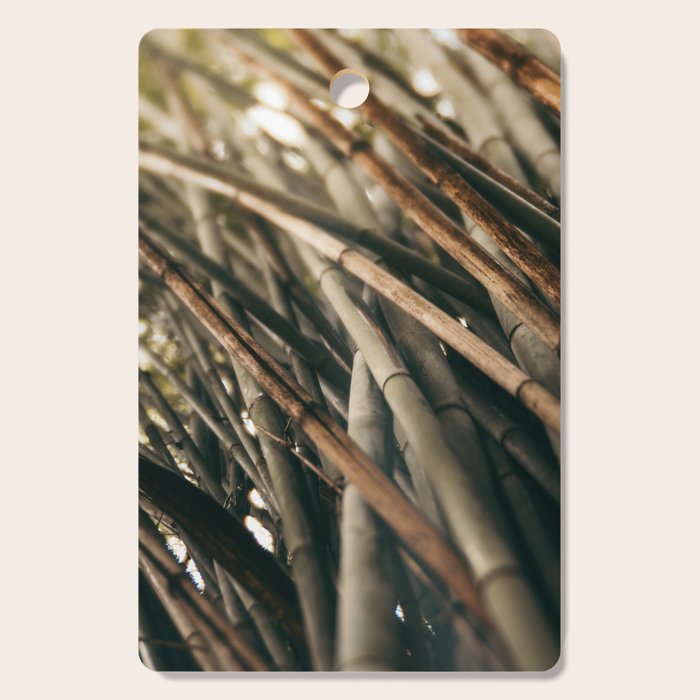 Bamboo Study 2 Cutting Board Gallery Image 1