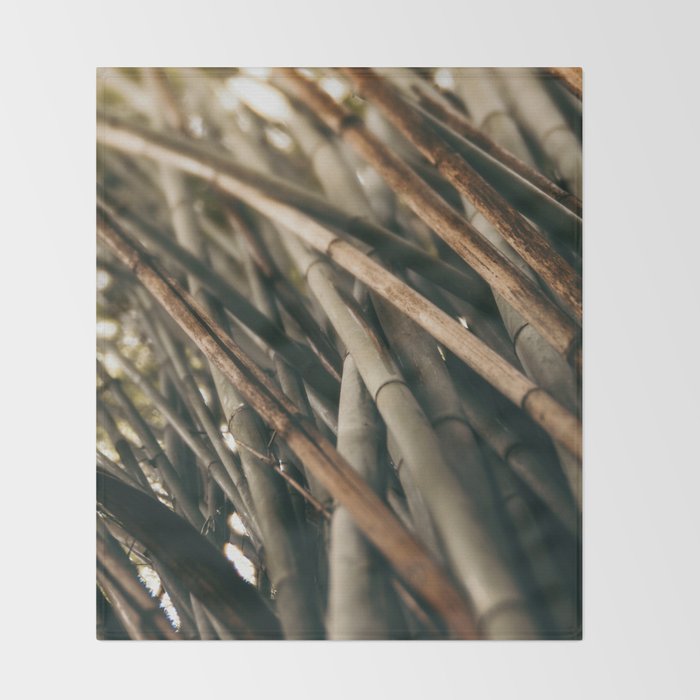 Bamboo Study 2 Throw Blanket Gallery Image 2
