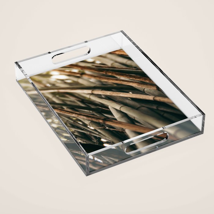 Bamboo Study 2 Acrylic Tray Gallery Image 1
